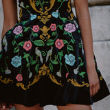 Madeline Embroidered Velvet Dress